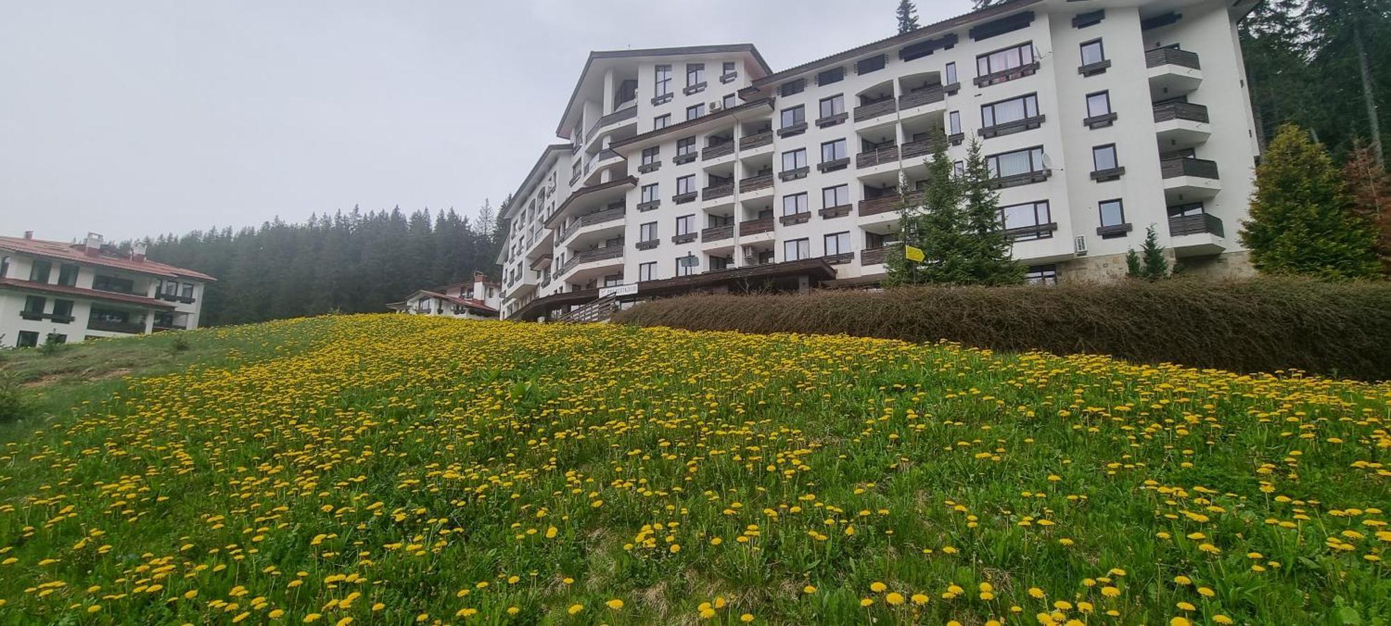 Elit Pamporovo Accommodation ภายนอก รูปภาพ
