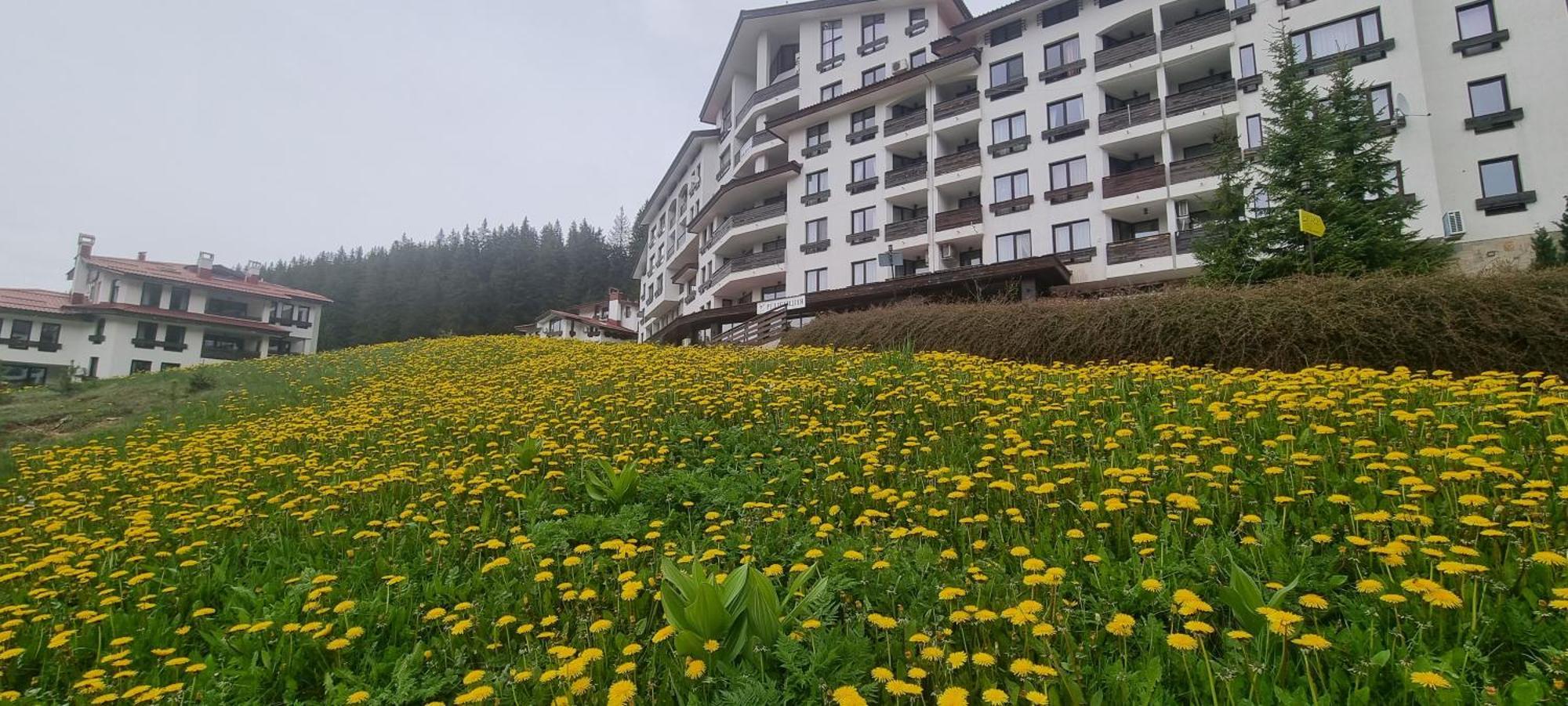 Elit Pamporovo Accommodation ภายนอก รูปภาพ